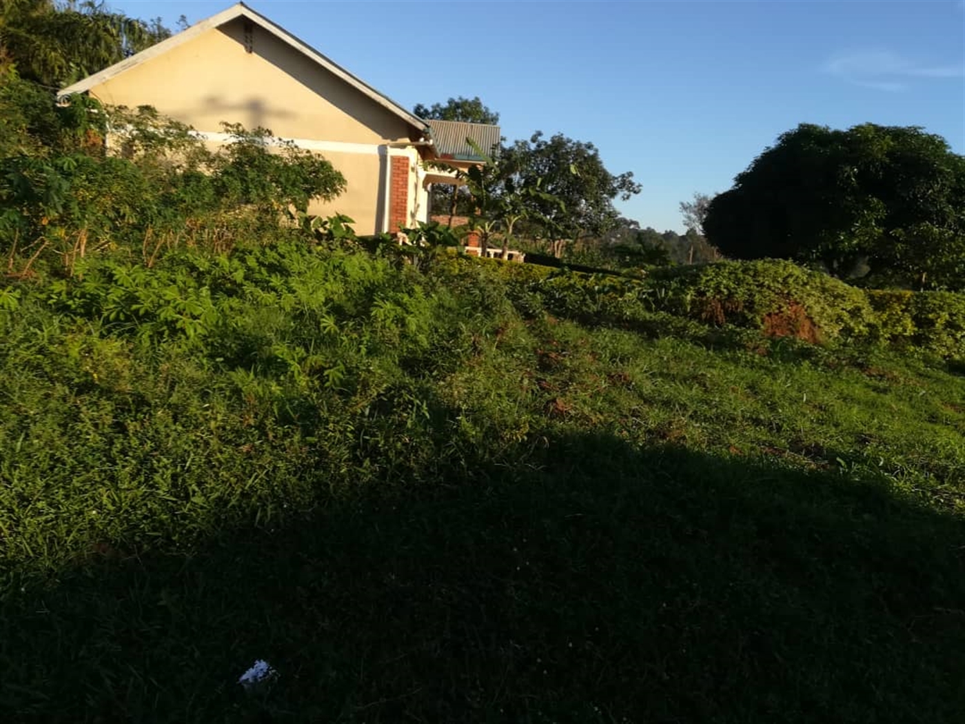 Residential Land for sale in Namilyango Mukono