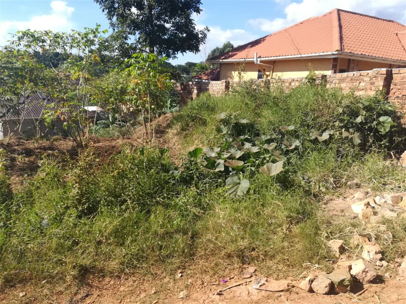 Residential Land for sale in Kigunga Mukono