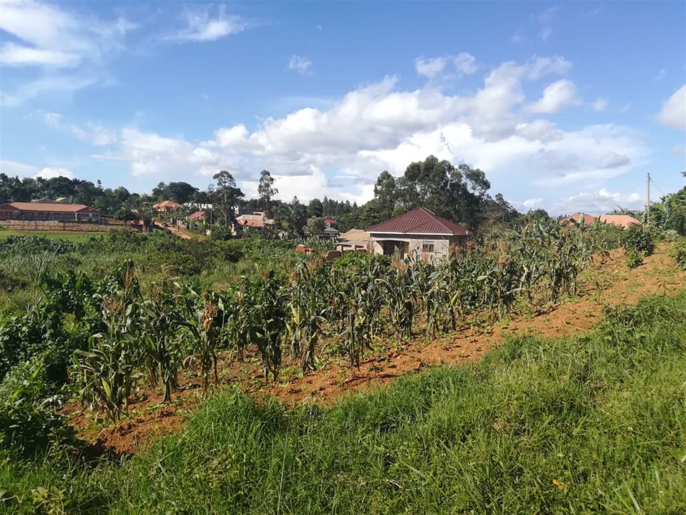 Residential Land for sale in Kigunga Mukono