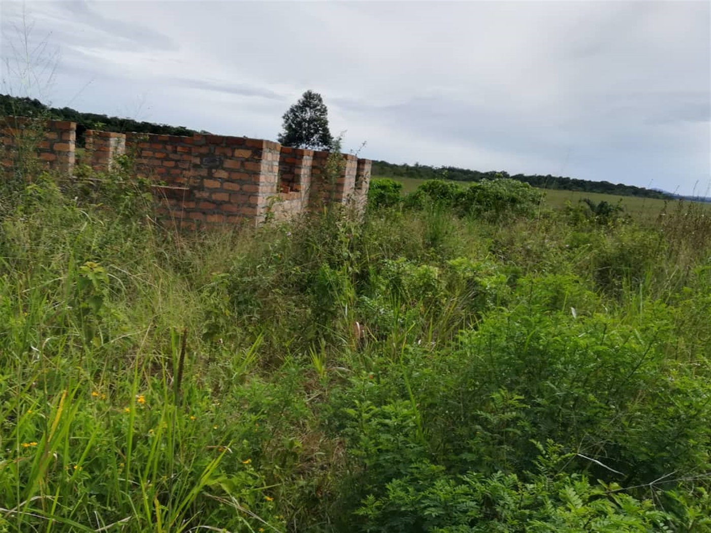 Residential Land for sale in Namayiba Mukono