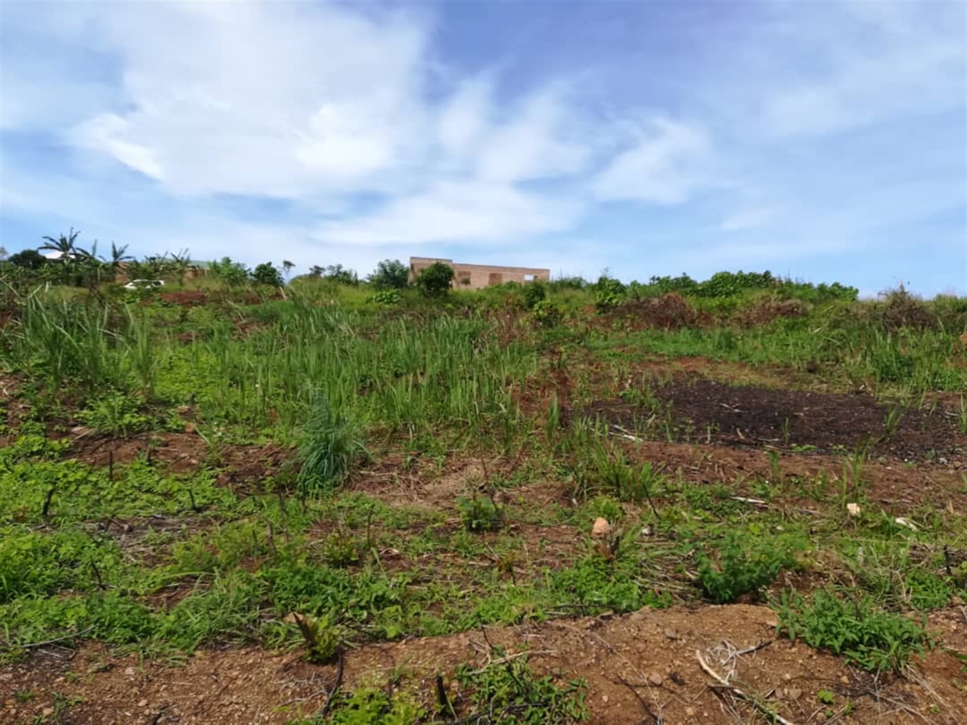 Residential Land for sale in Namayiba Mukono