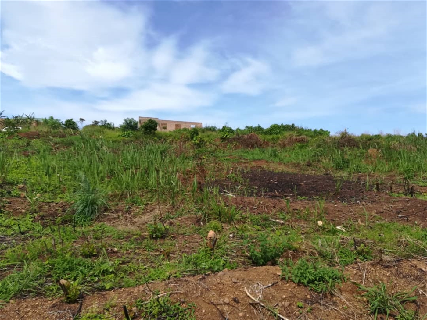 Residential Land for sale in Namayiba Mukono