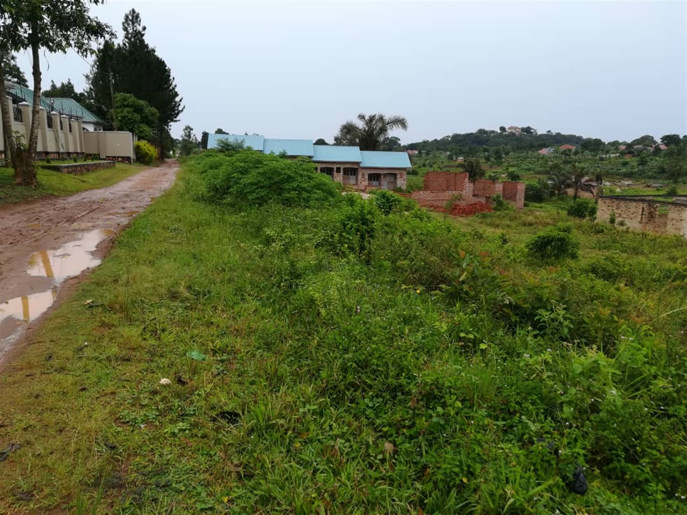 Residential Land for sale in Nsuube Mukono