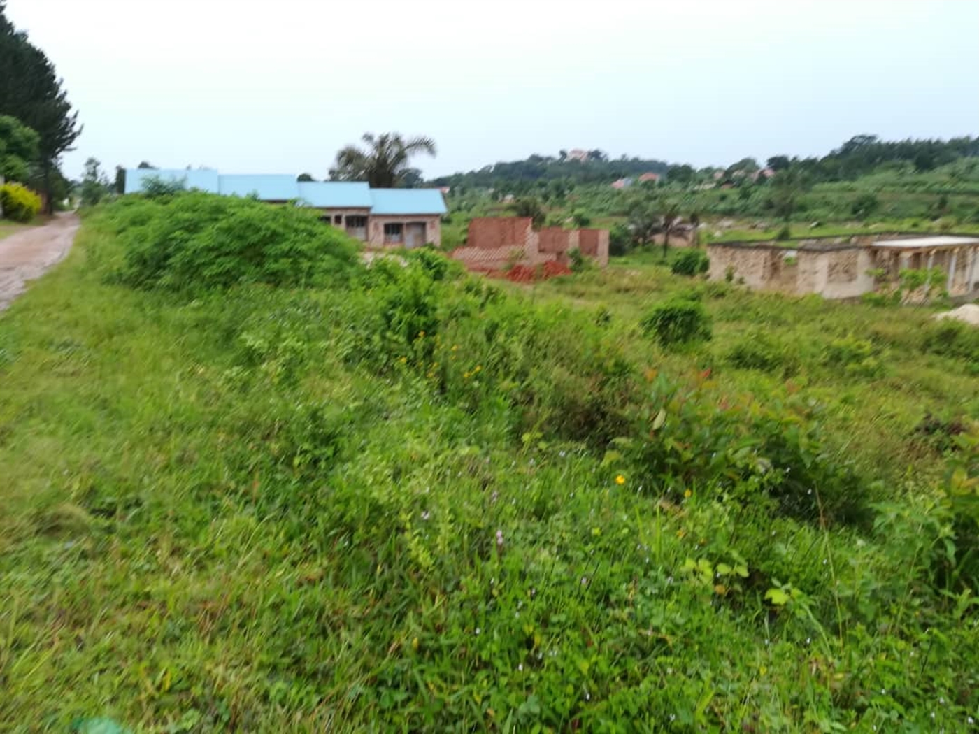 Residential Land for sale in Nsuube Mukono