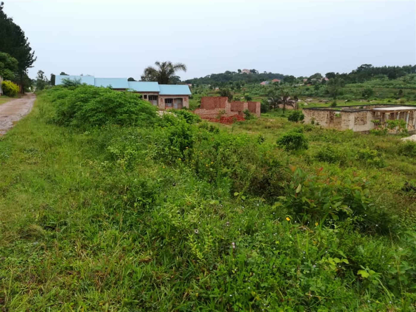 Residential Land for sale in Nsuube Mukono