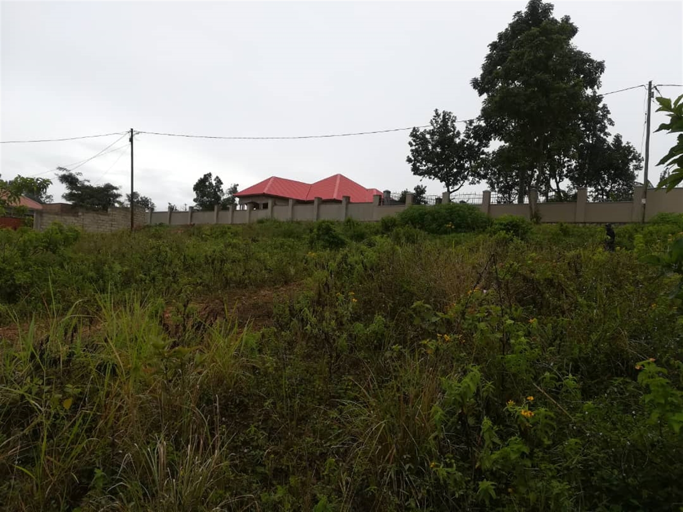 Residential Land for sale in Nsuube Mukono