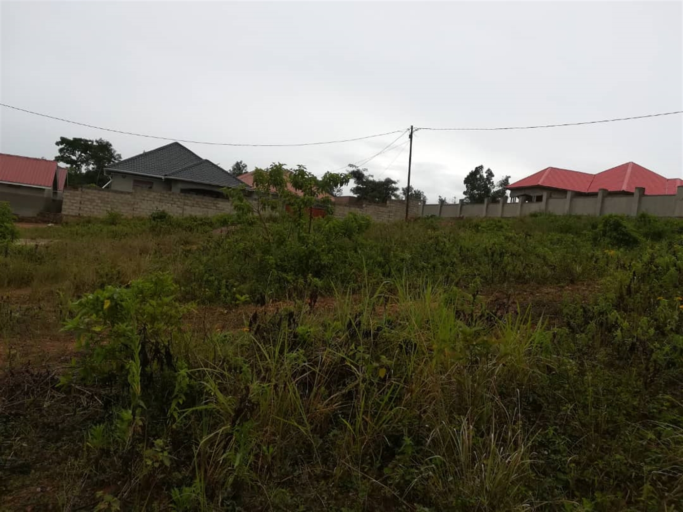 Residential Land for sale in Nsuube Mukono