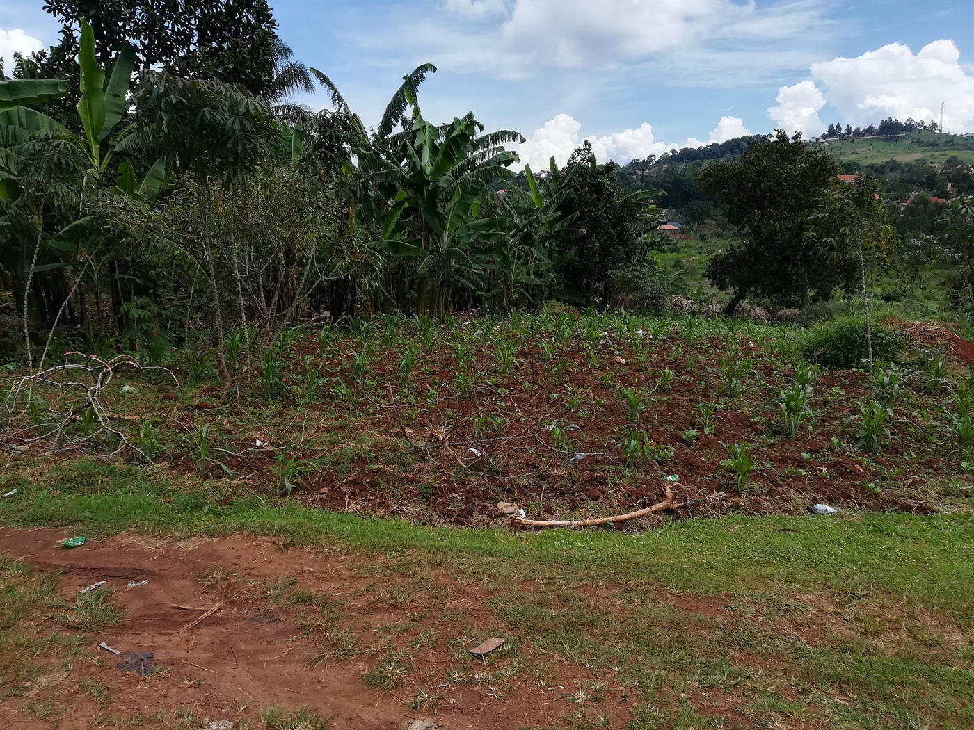 Residential Land for sale in Namilyango Mukono