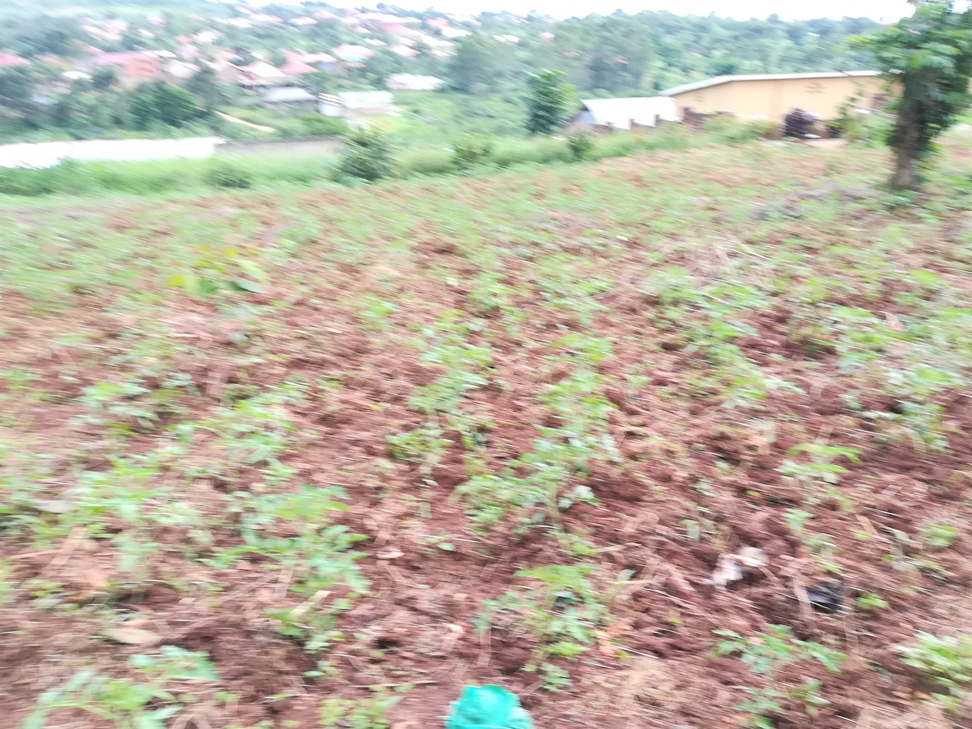 Residential Land for sale in Namilyango Mukono