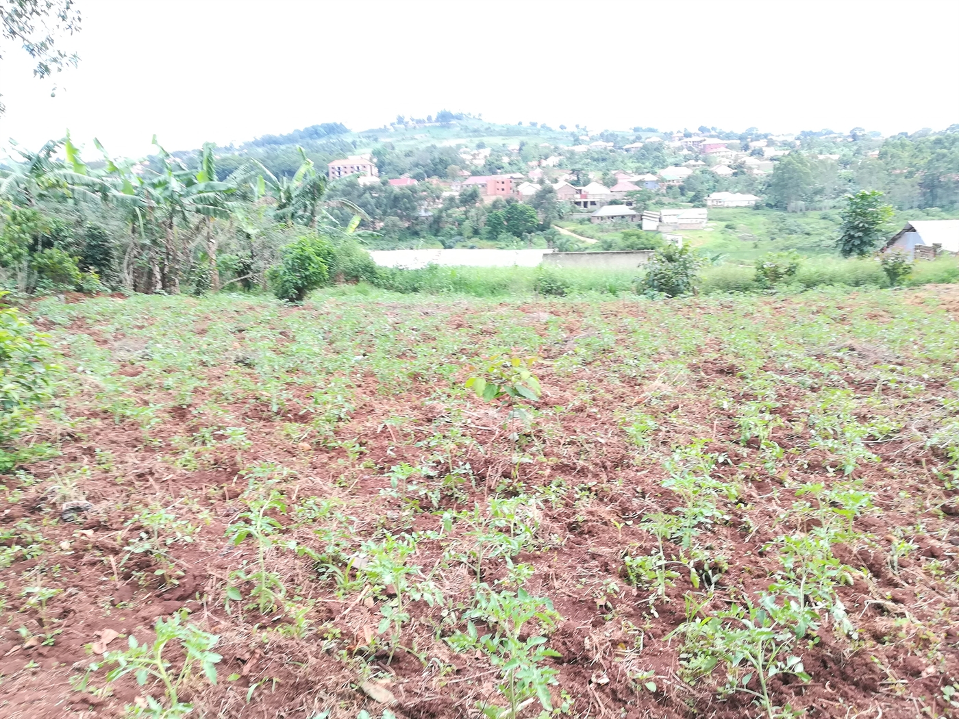 Residential Land for sale in Namilyango Mukono