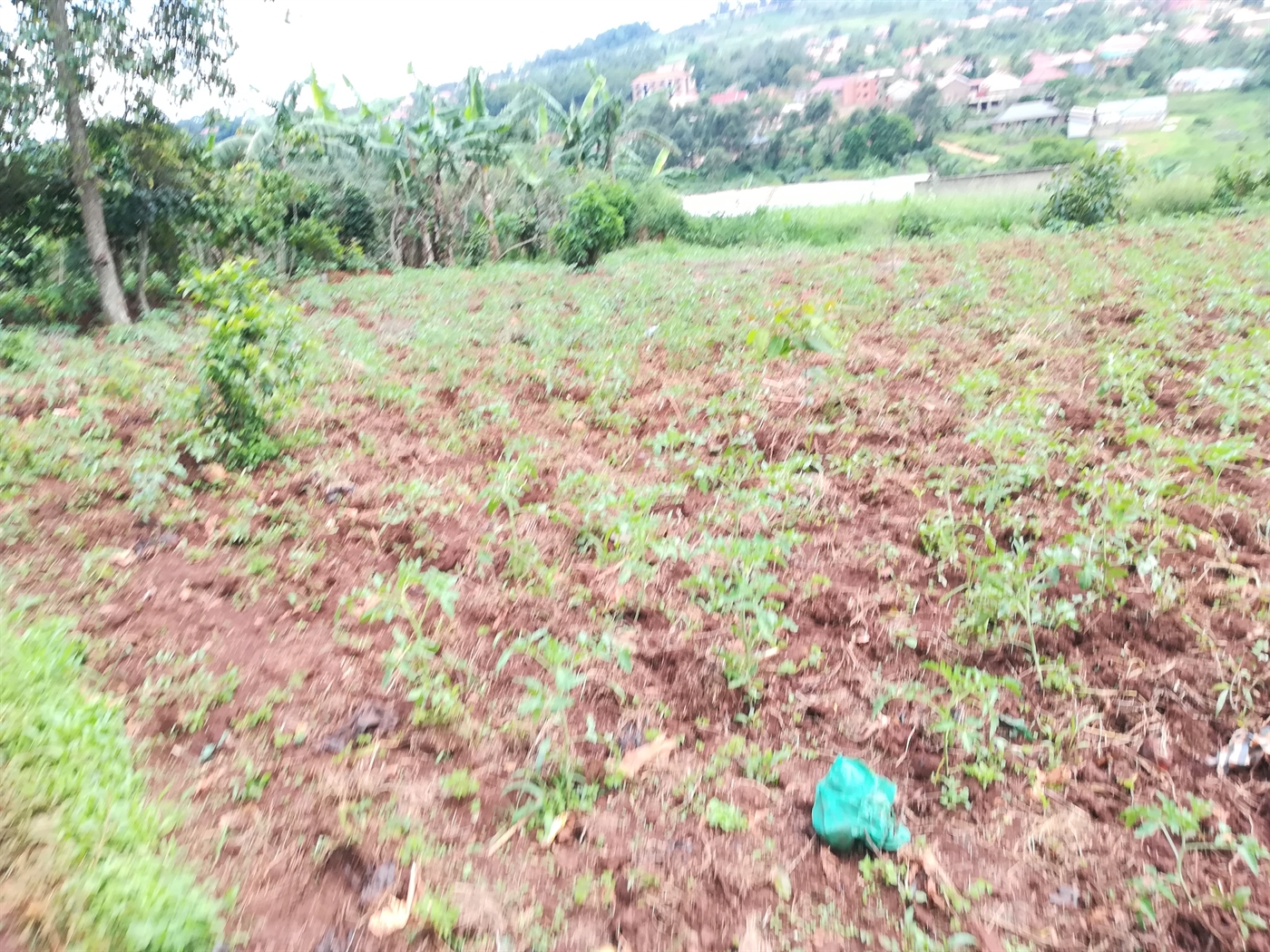 Residential Land for sale in Namilyango Mukono