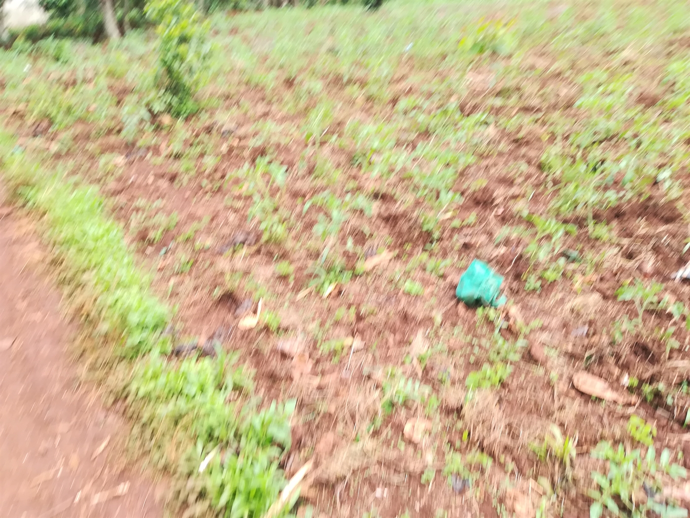 Residential Land for sale in Namilyango Mukono