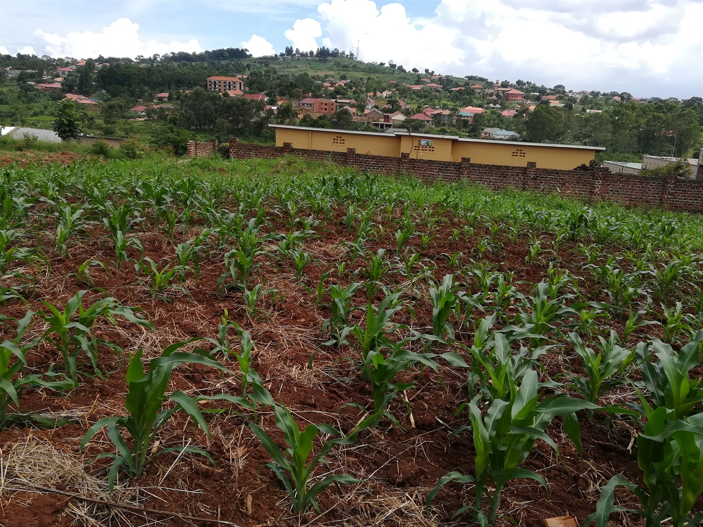 Residential Land for sale in Namilyango Mukono