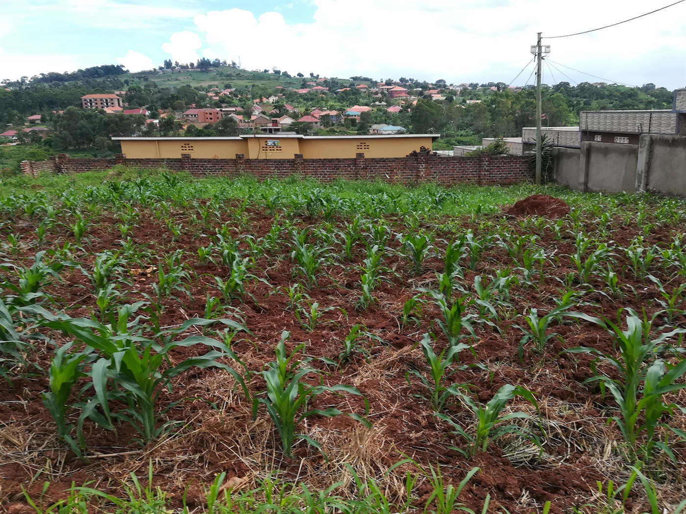 Residential Land for sale in Namilyango Mukono