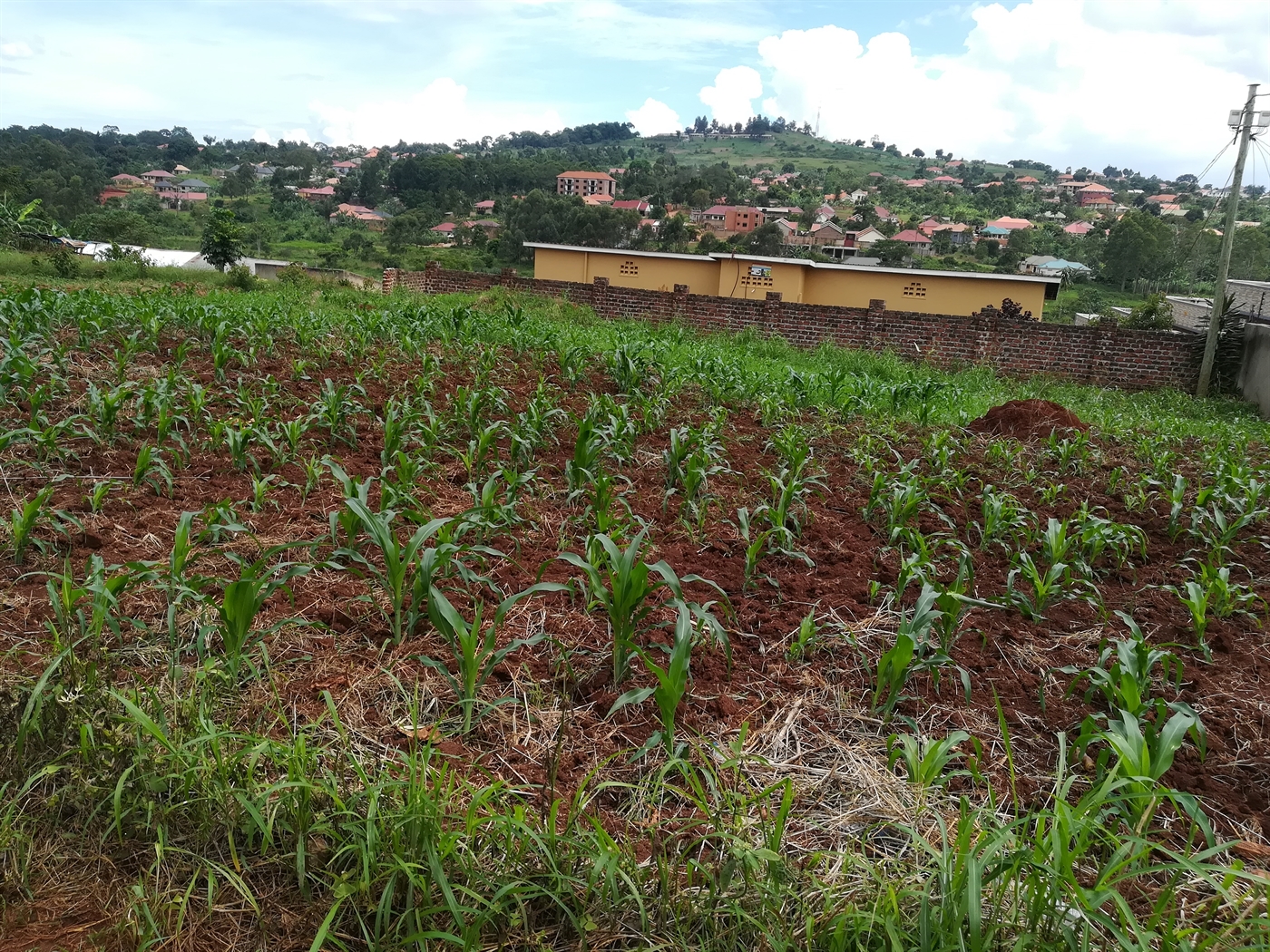 Residential Land for sale in Namilyango Mukono