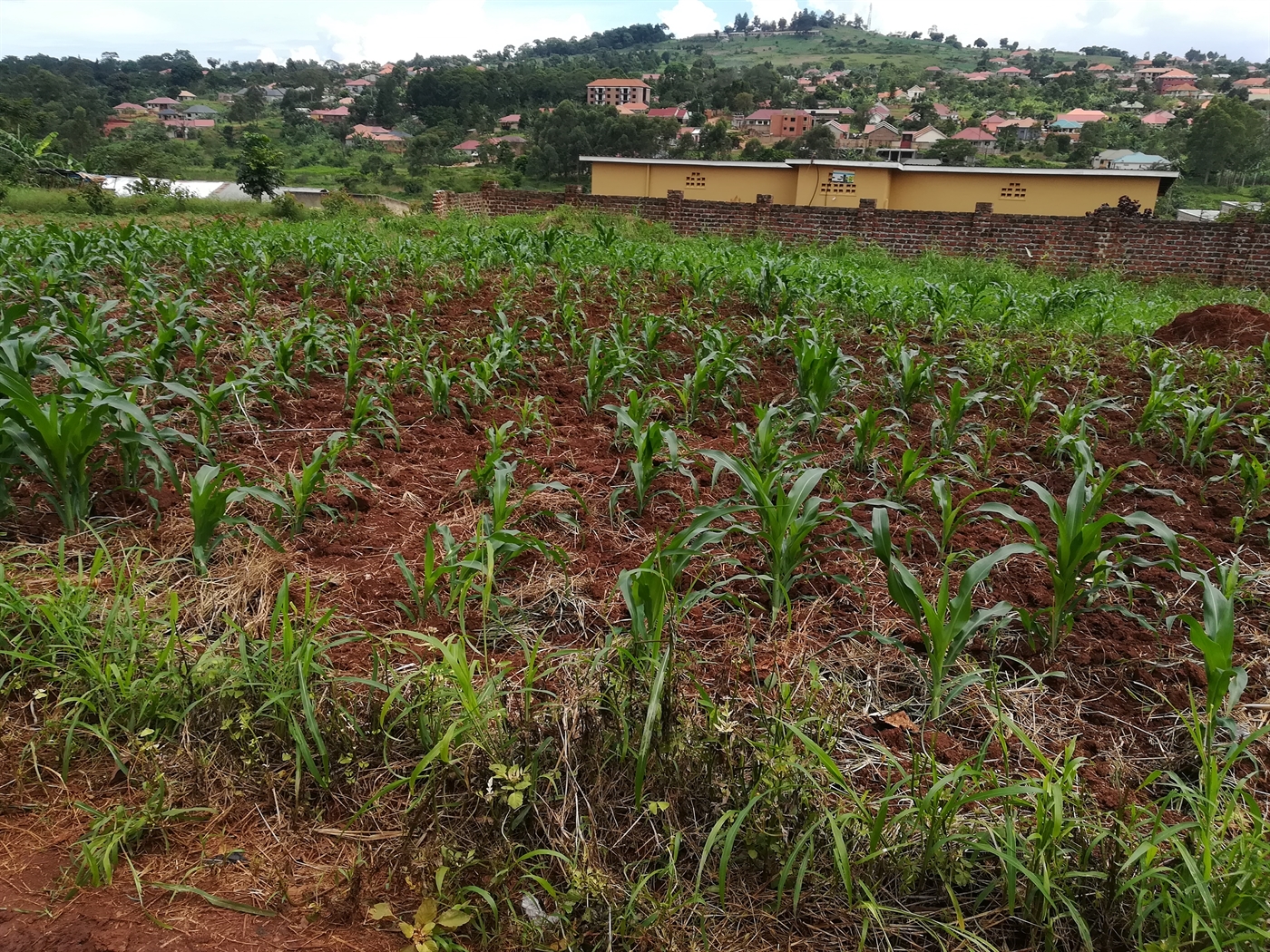 Residential Land for sale in Namilyango Mukono