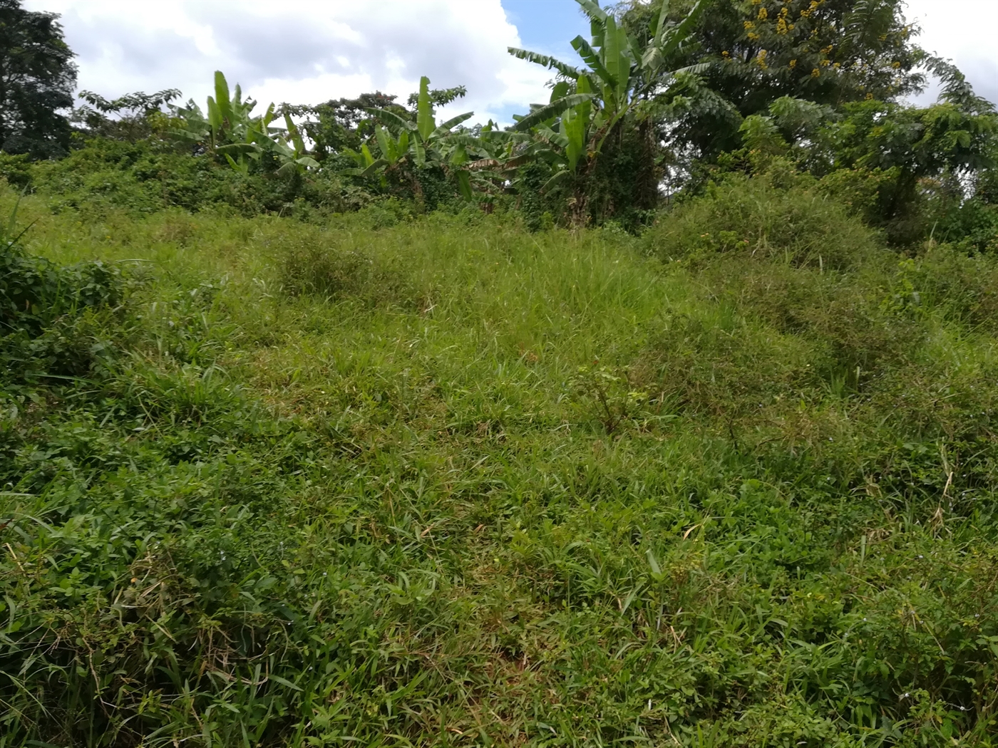 Residential Land for sale in Namilyango Mukono