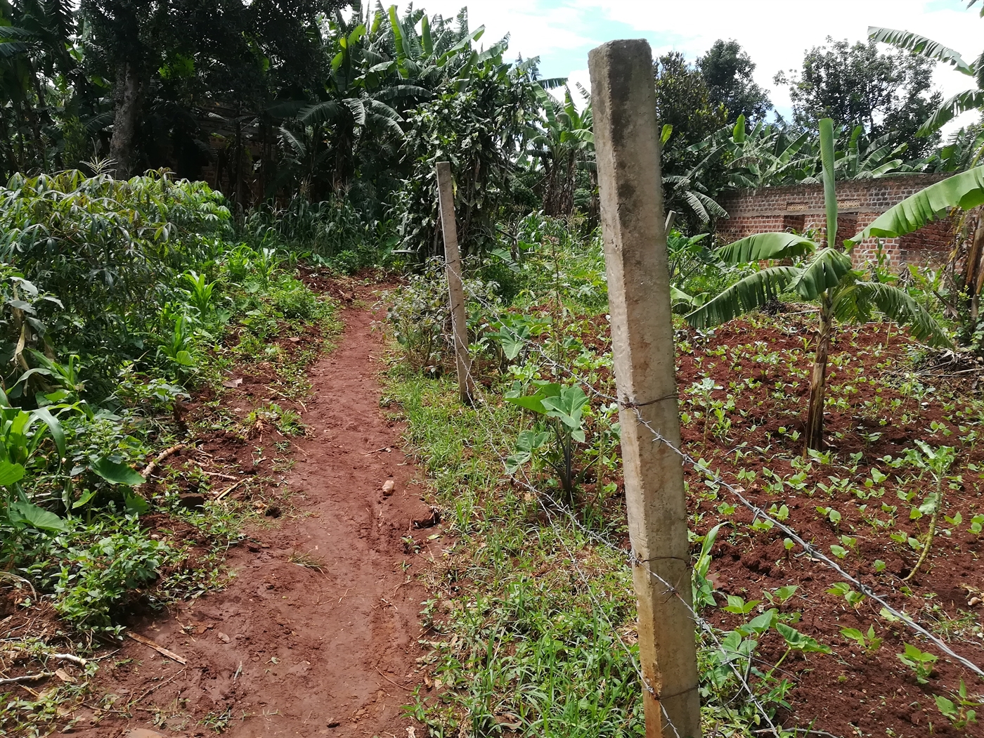 Residential Land for sale in Kawuga Mukono