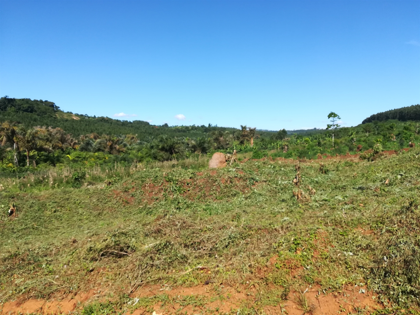 Agricultural Land for sale in Nakisunga Mukono