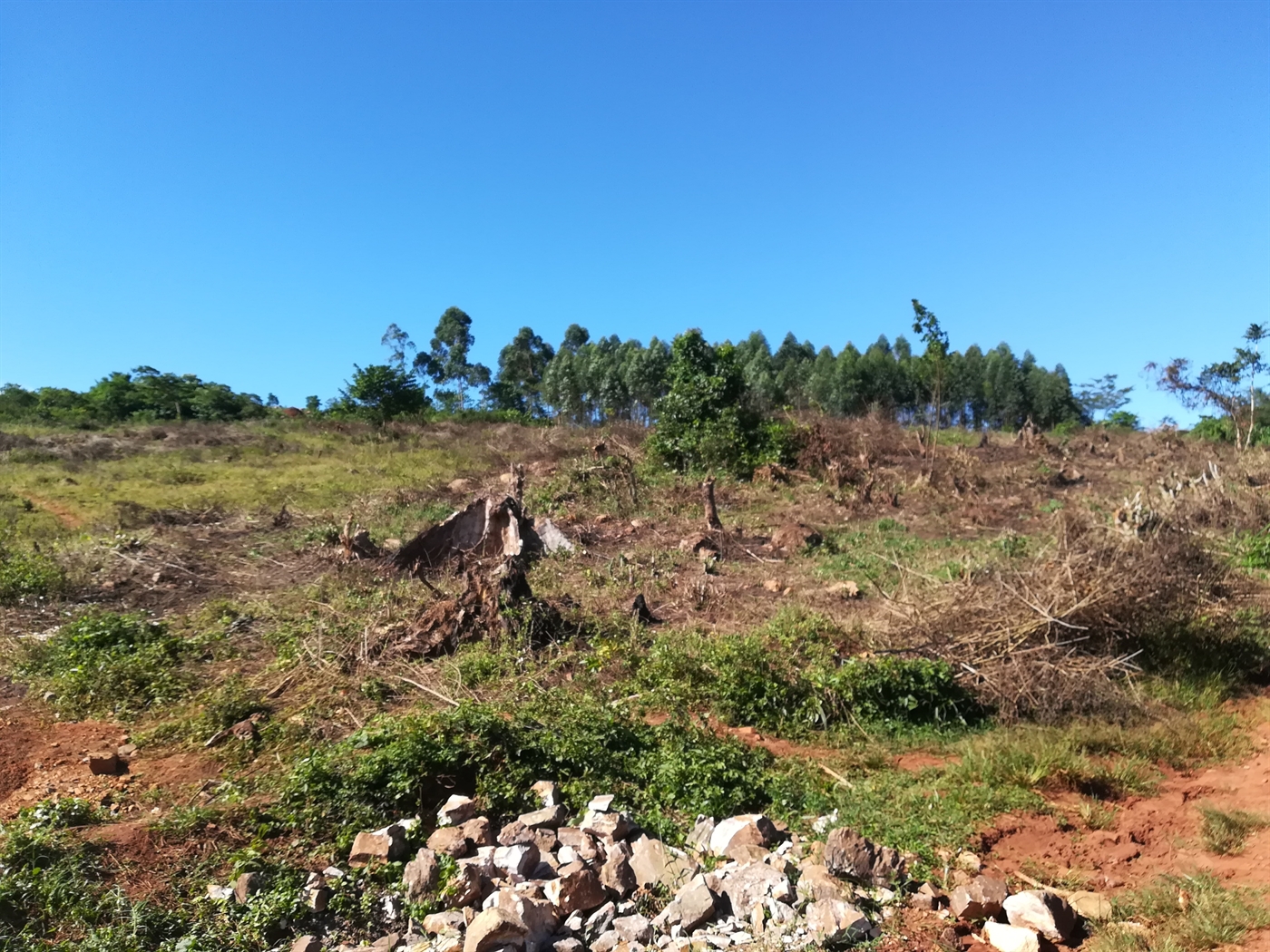 Agricultural Land for sale in Nkokonjeru Buyikwe