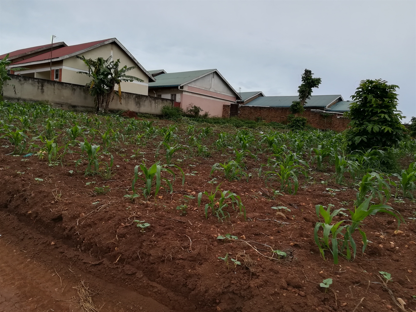 Residential Land for sale in Seeta Mukono