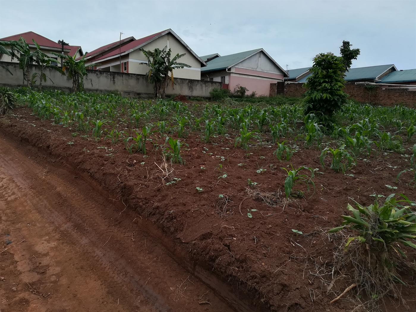 Residential Land for sale in Seeta Mukono