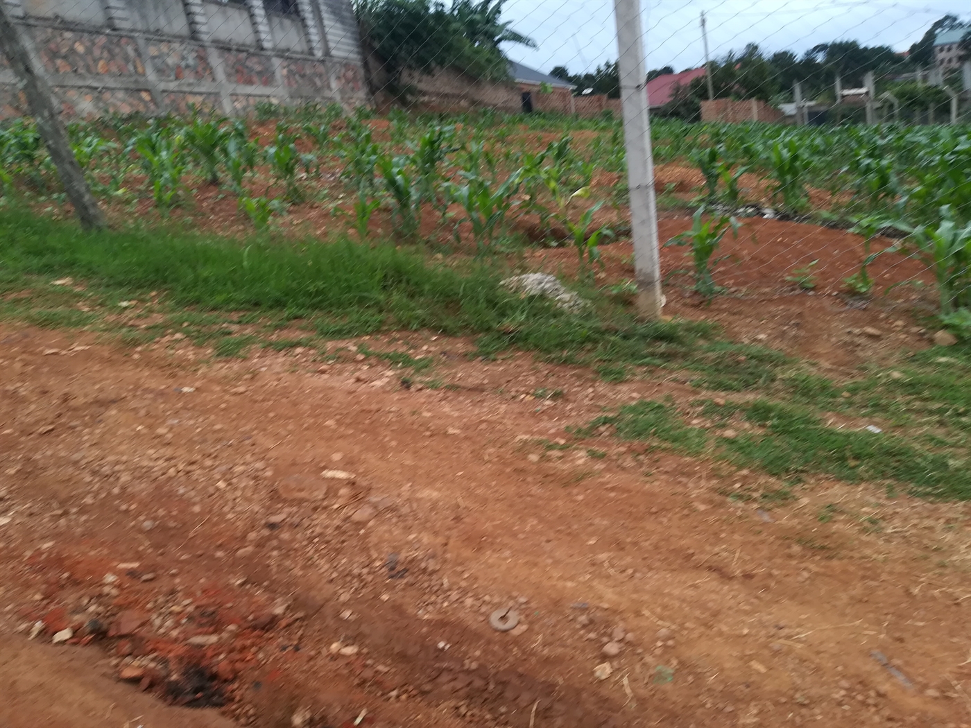 Residential Land for sale in Namilyango Mukono