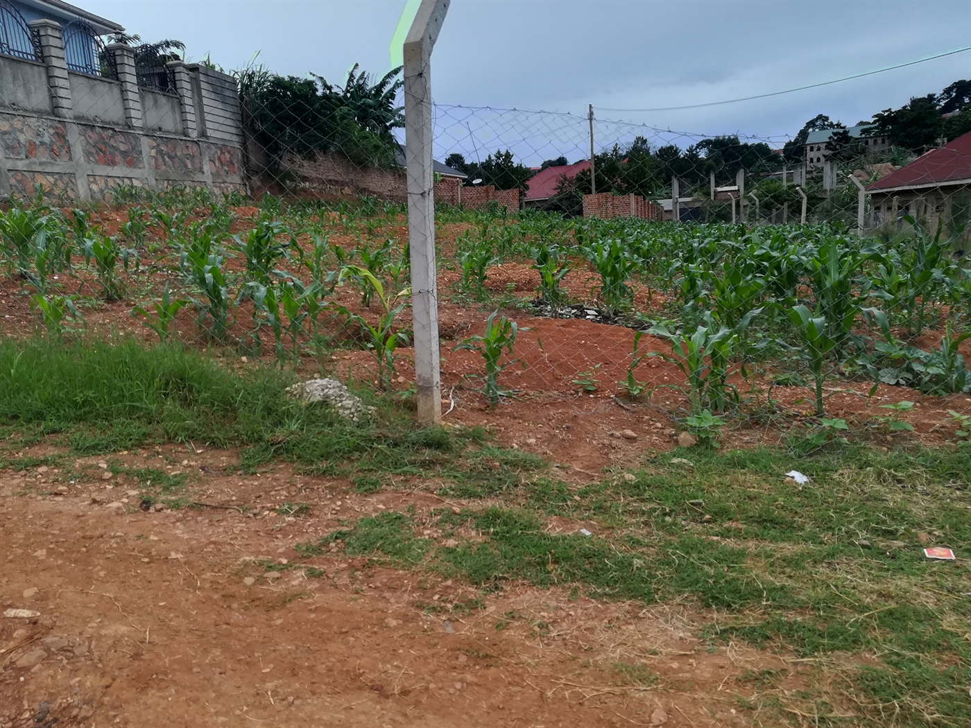 Residential Land for sale in Namilyango Mukono