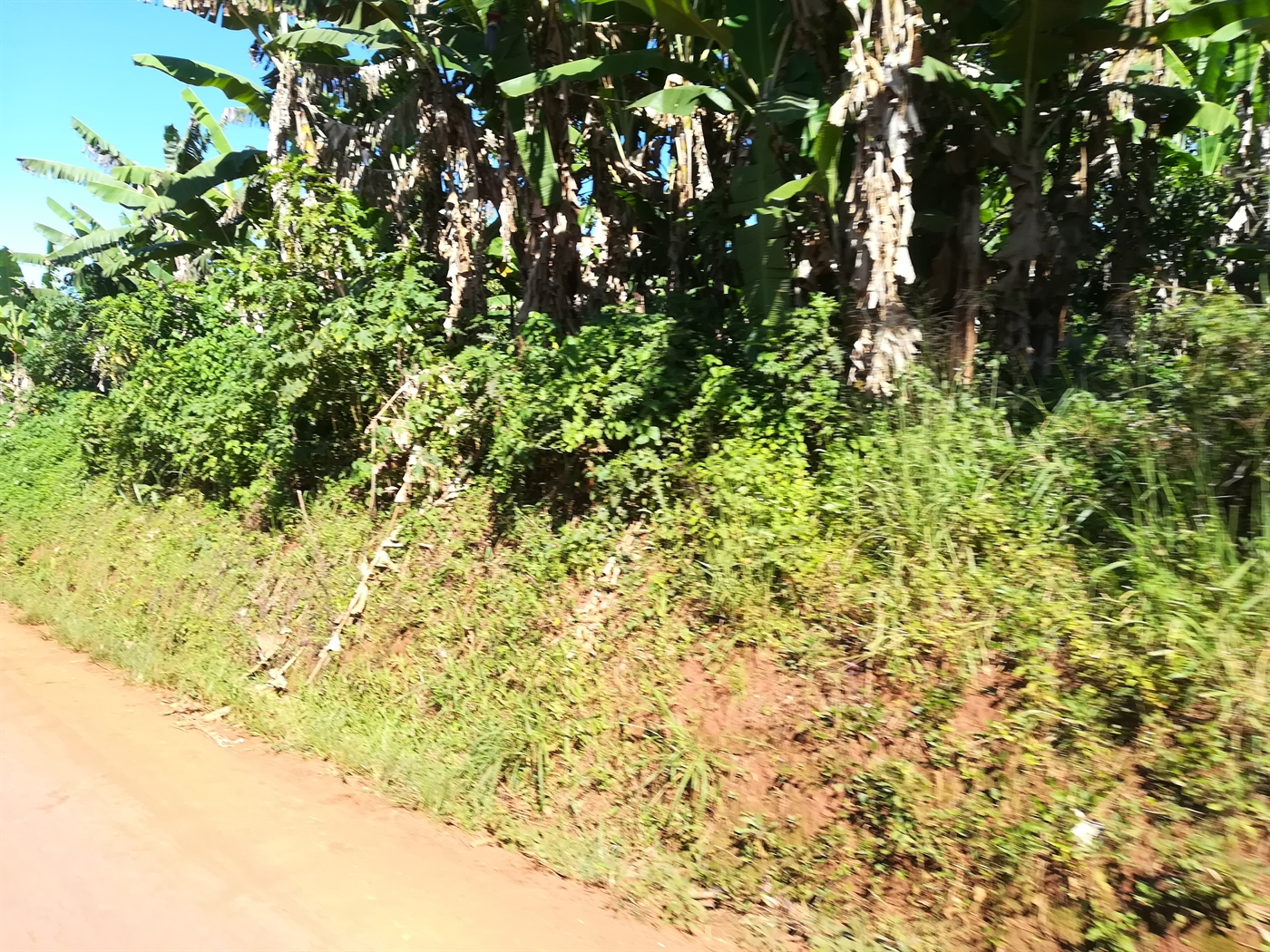 Agricultural Land for sale in Kisoga Mukono