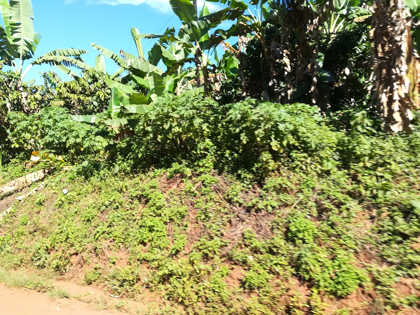 Agricultural Land for sale in Kisoga Mukono