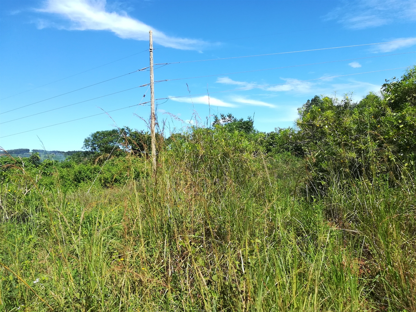 Agricultural Land for sale in Nkokonjeru Mukono