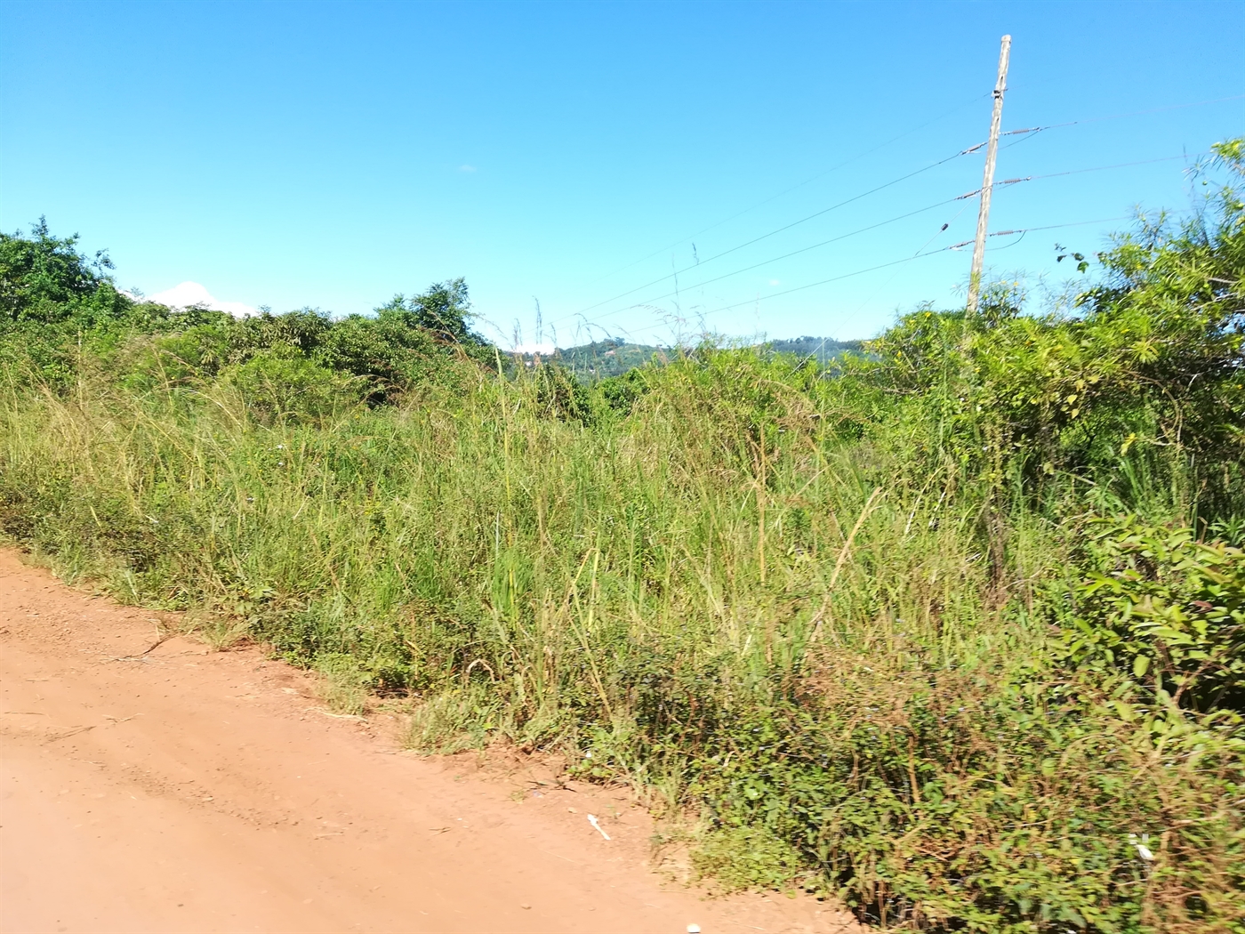 Agricultural Land for sale in Nkokonjeru Mukono