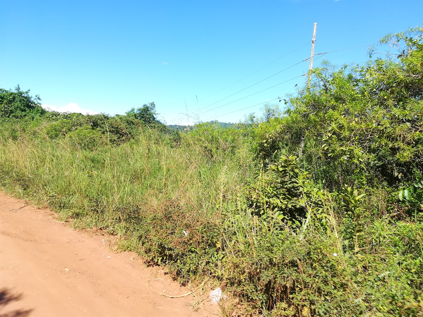 Agricultural Land for sale in Nkokonjeru Mukono