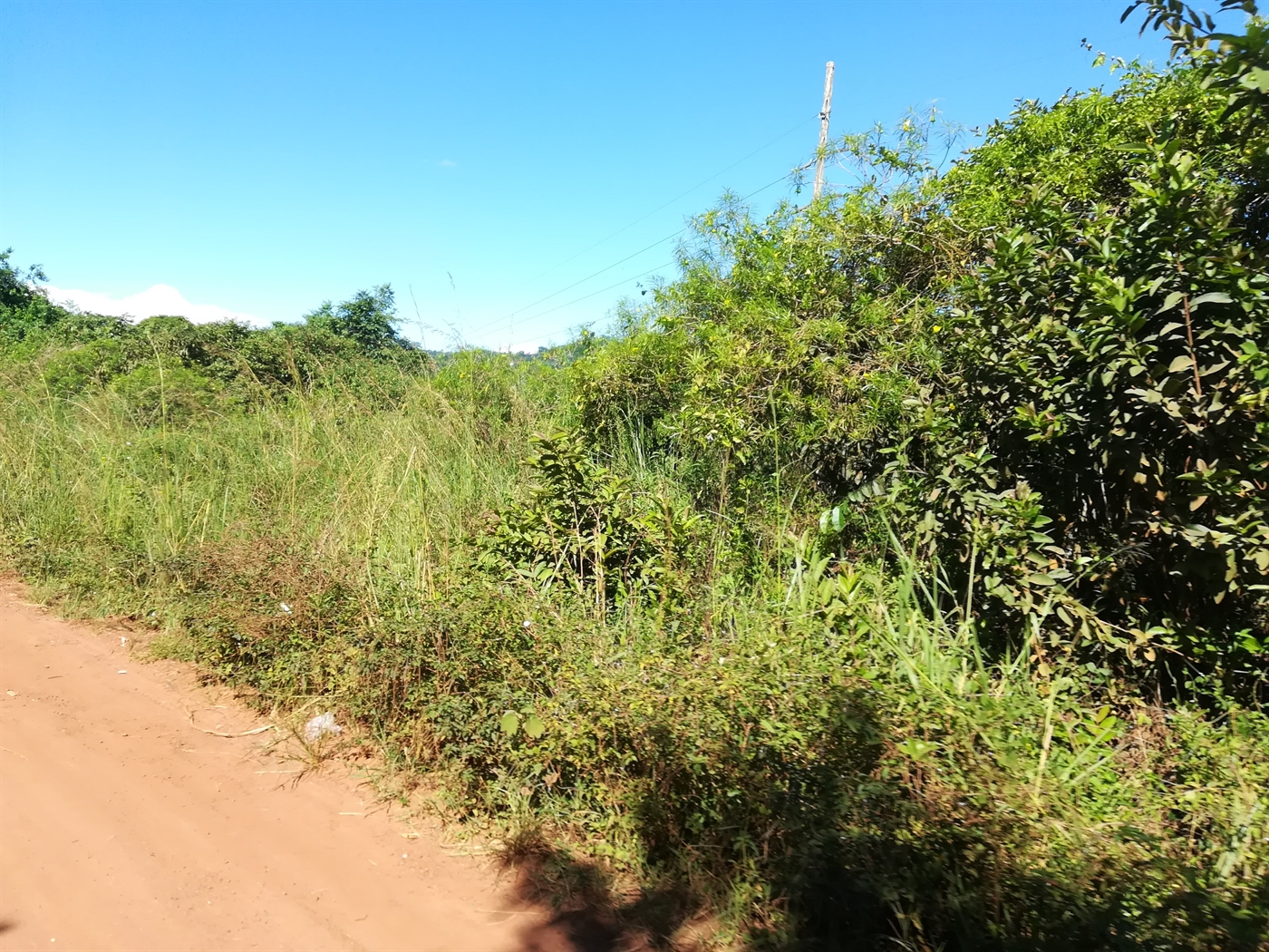 Agricultural Land for sale in Nkokonjeru Mukono