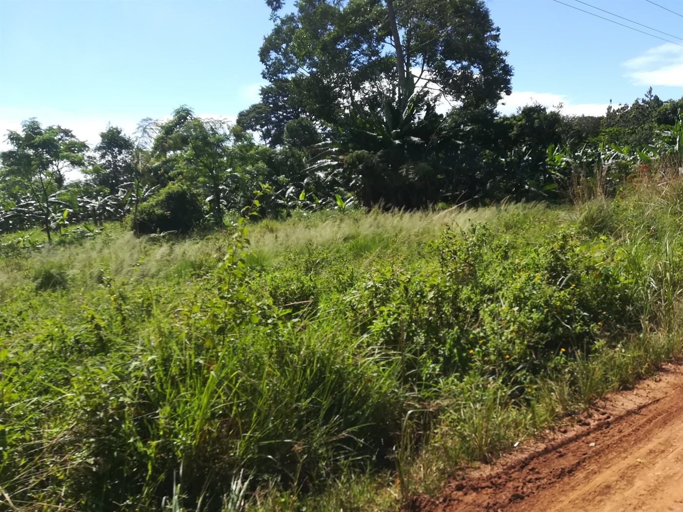 Agricultural Land for sale in Mpata Mukono