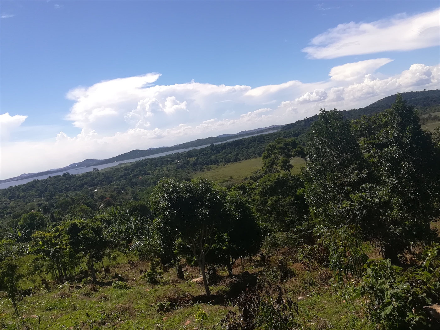 Agricultural Land for sale in Mpata Mukono