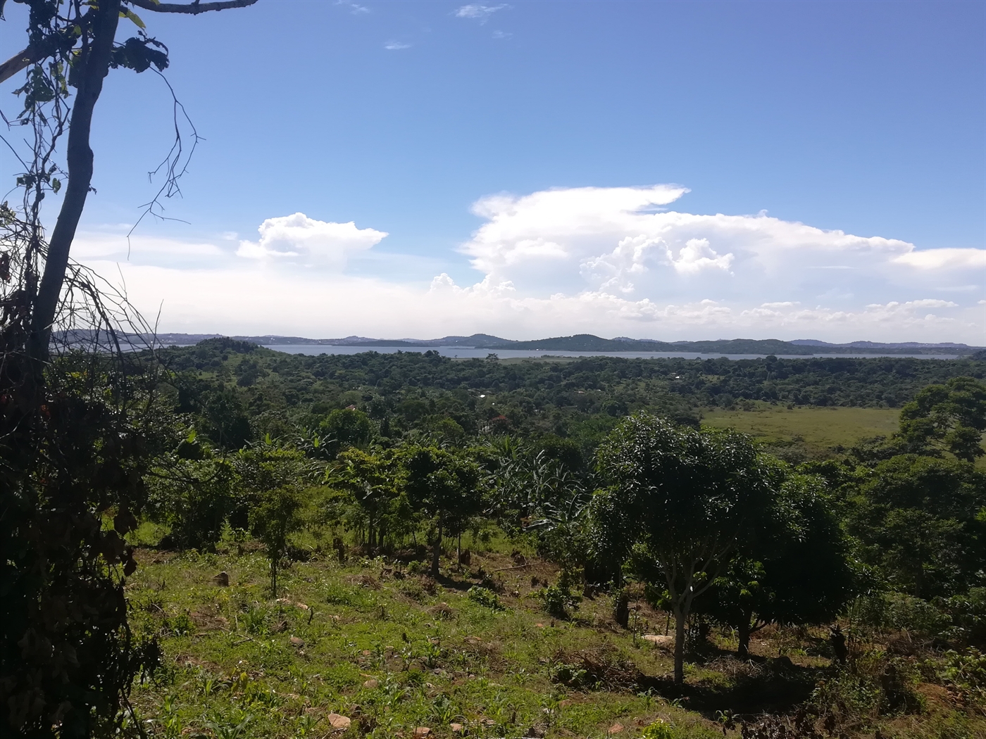 Agricultural Land for sale in Mpata Mukono