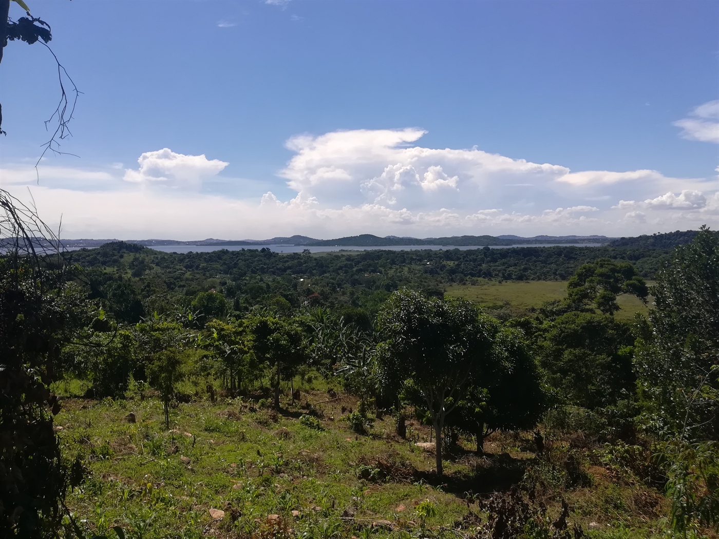 Agricultural Land for sale in Mpata Mukono