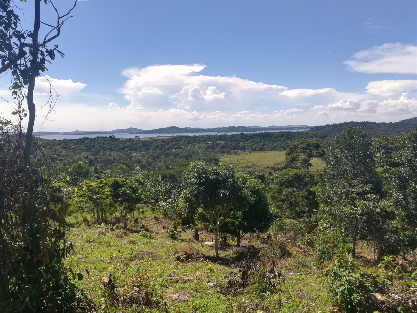 Agricultural Land for sale in Mpata Mukono