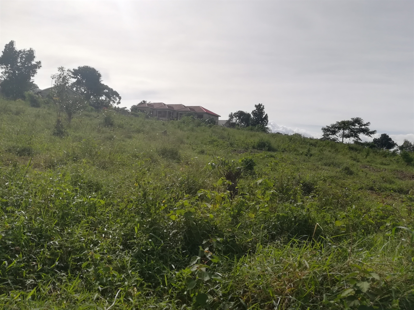 Residential Land for sale in Namilyango Mukono