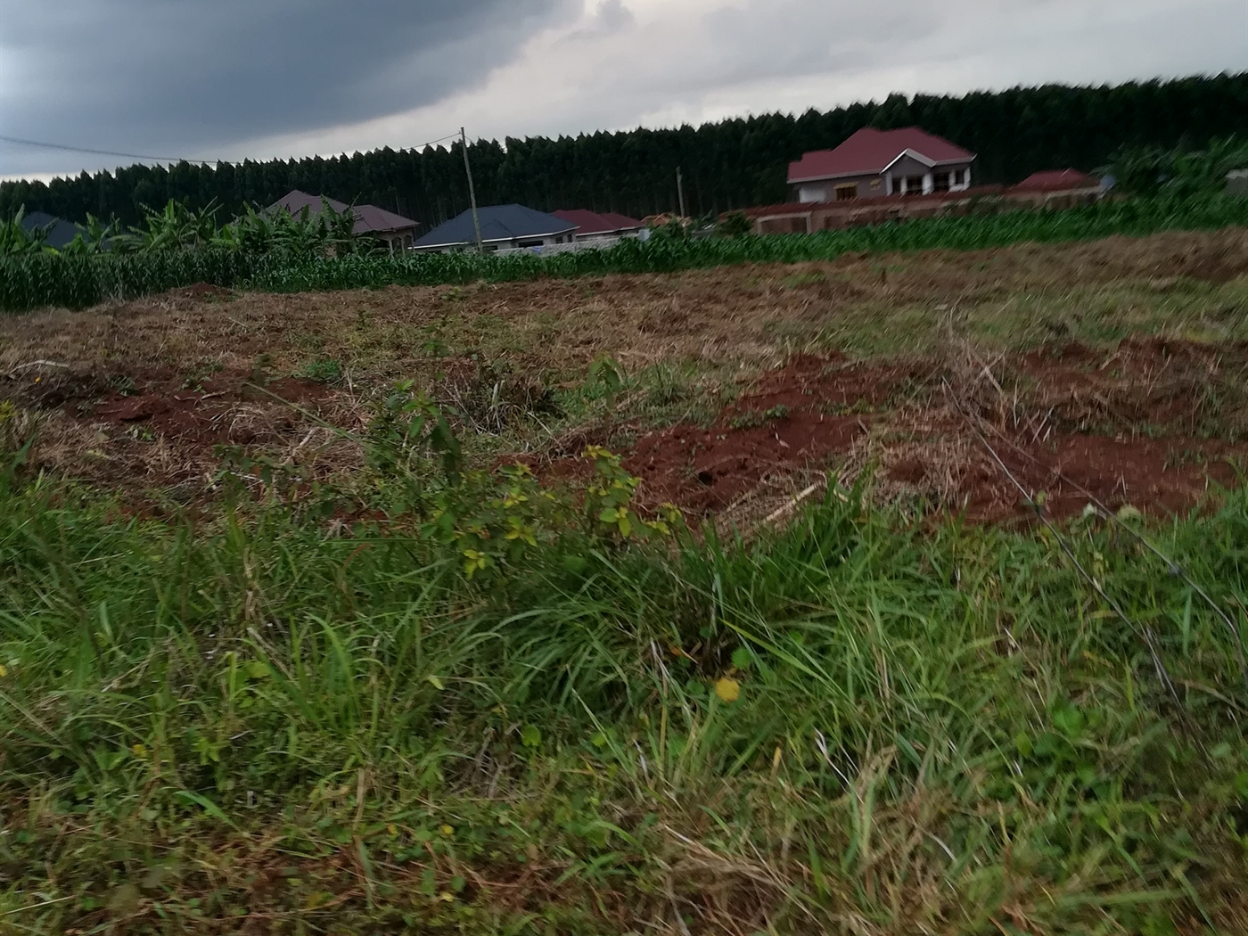 Residential Land for sale in Nabuuti Mukono