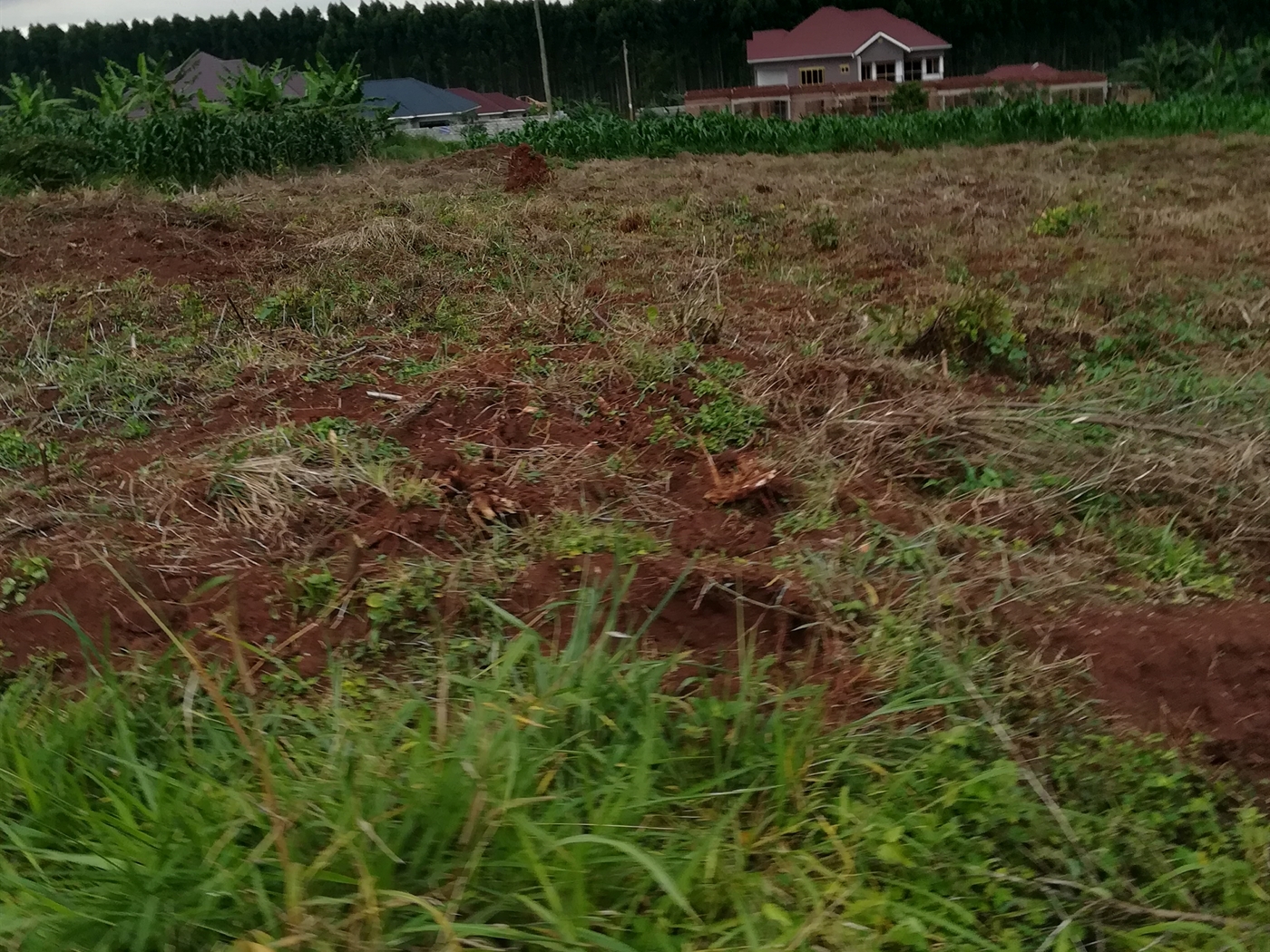 Residential Land for sale in Nabuuti Mukono