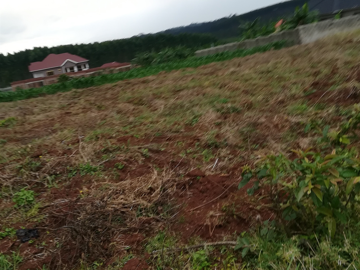 Residential Land for sale in Nabuuti Mukono