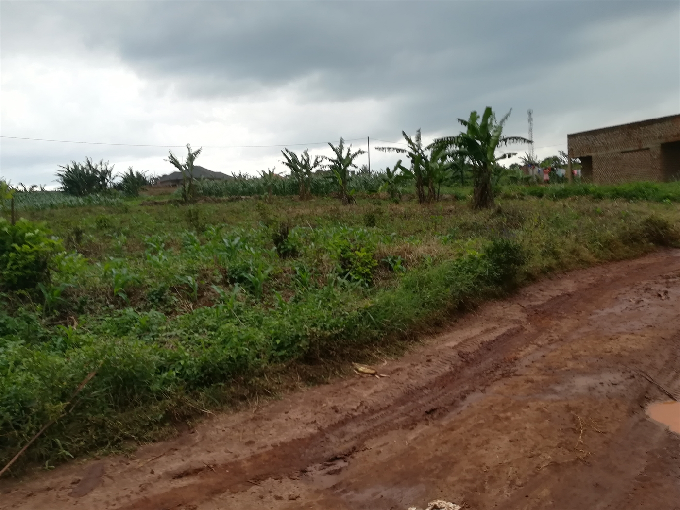 Residential Land for sale in Nabuuti Mukono