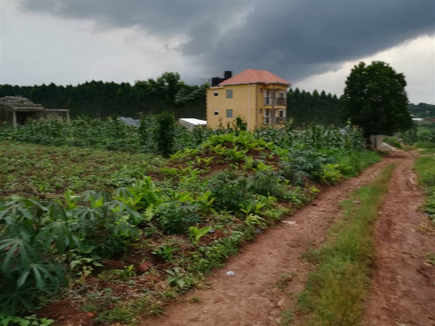 Residential Land for sale in Nabuuti Mukono