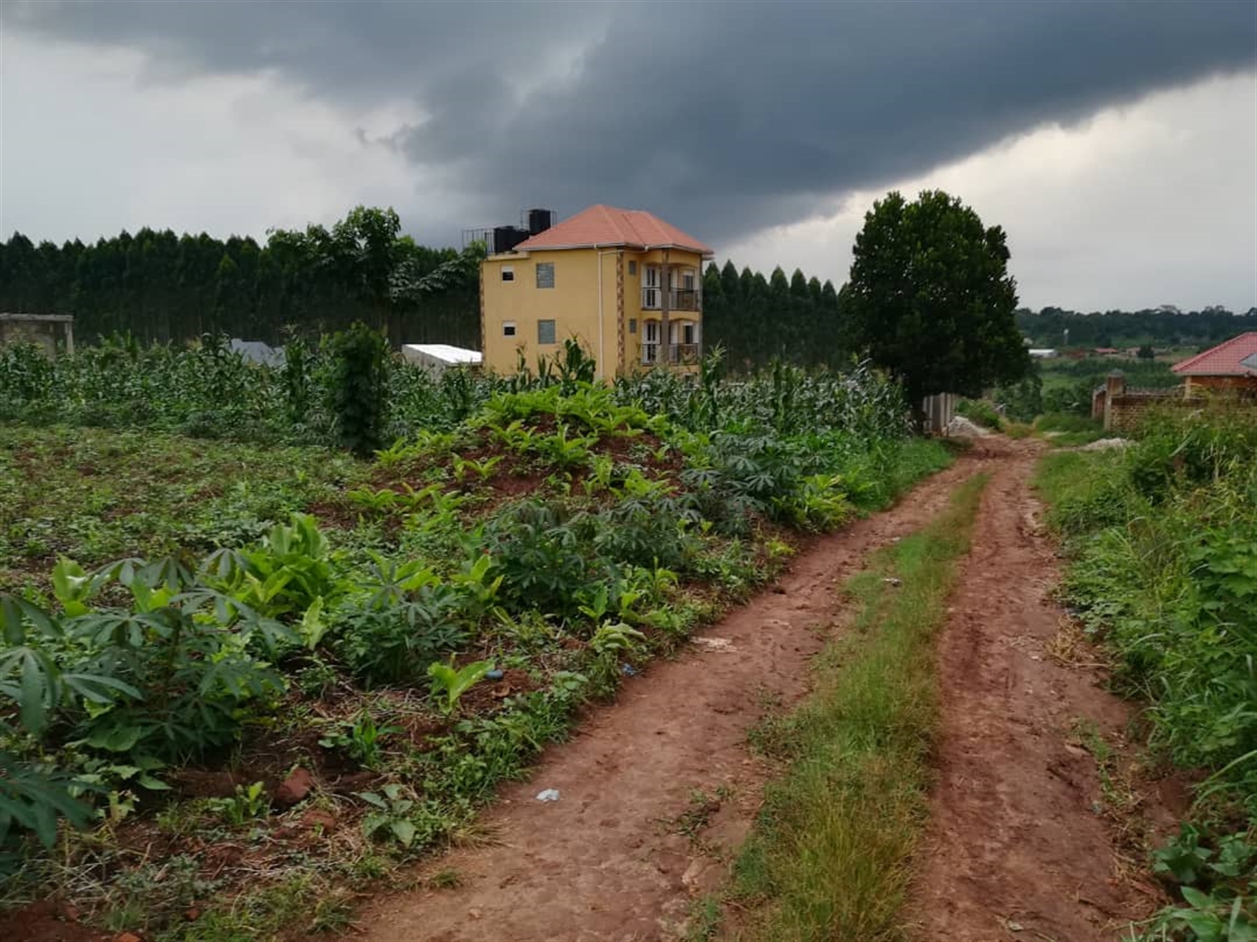 Residential Land for sale in Nabuuti Mukono