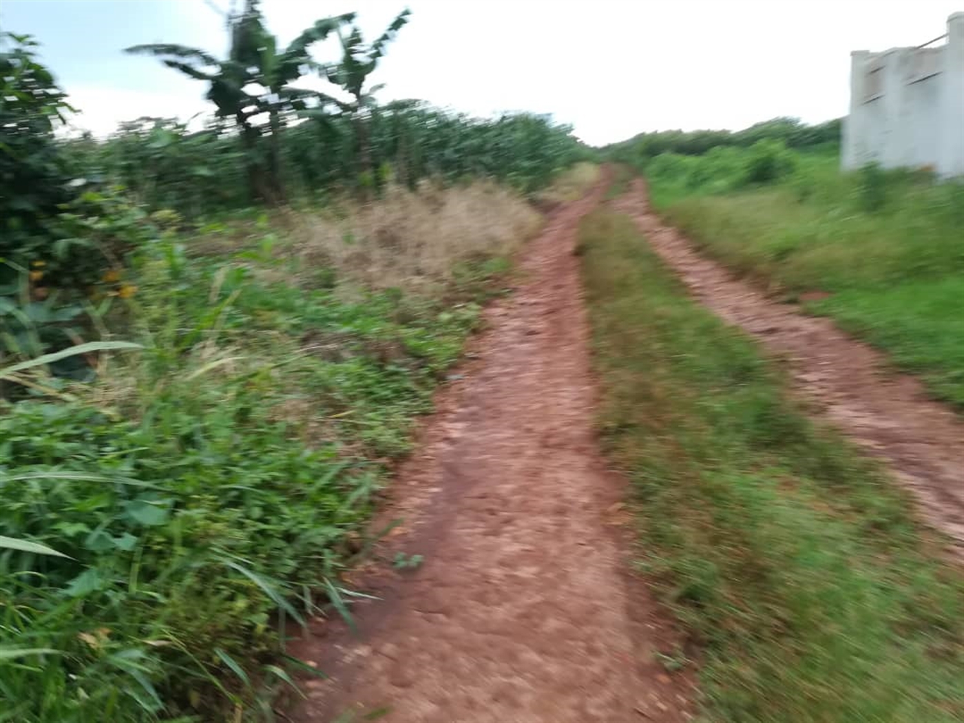 Residential Land for sale in Nabuuti Mukono