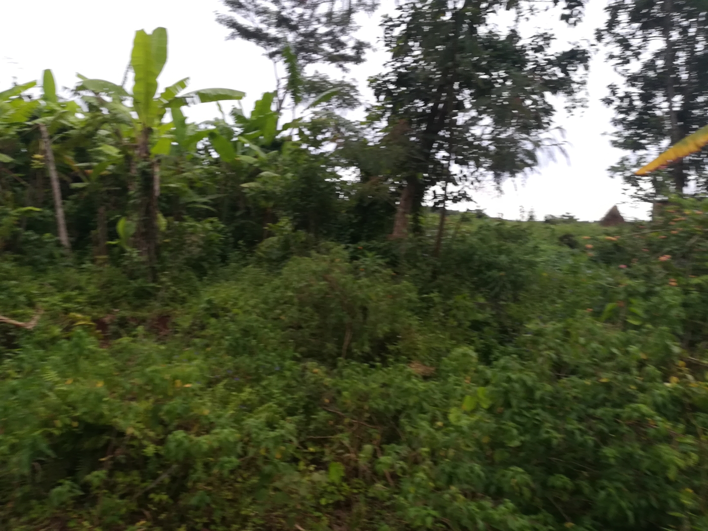 Agricultural Land for sale in Busabaga Mukono
