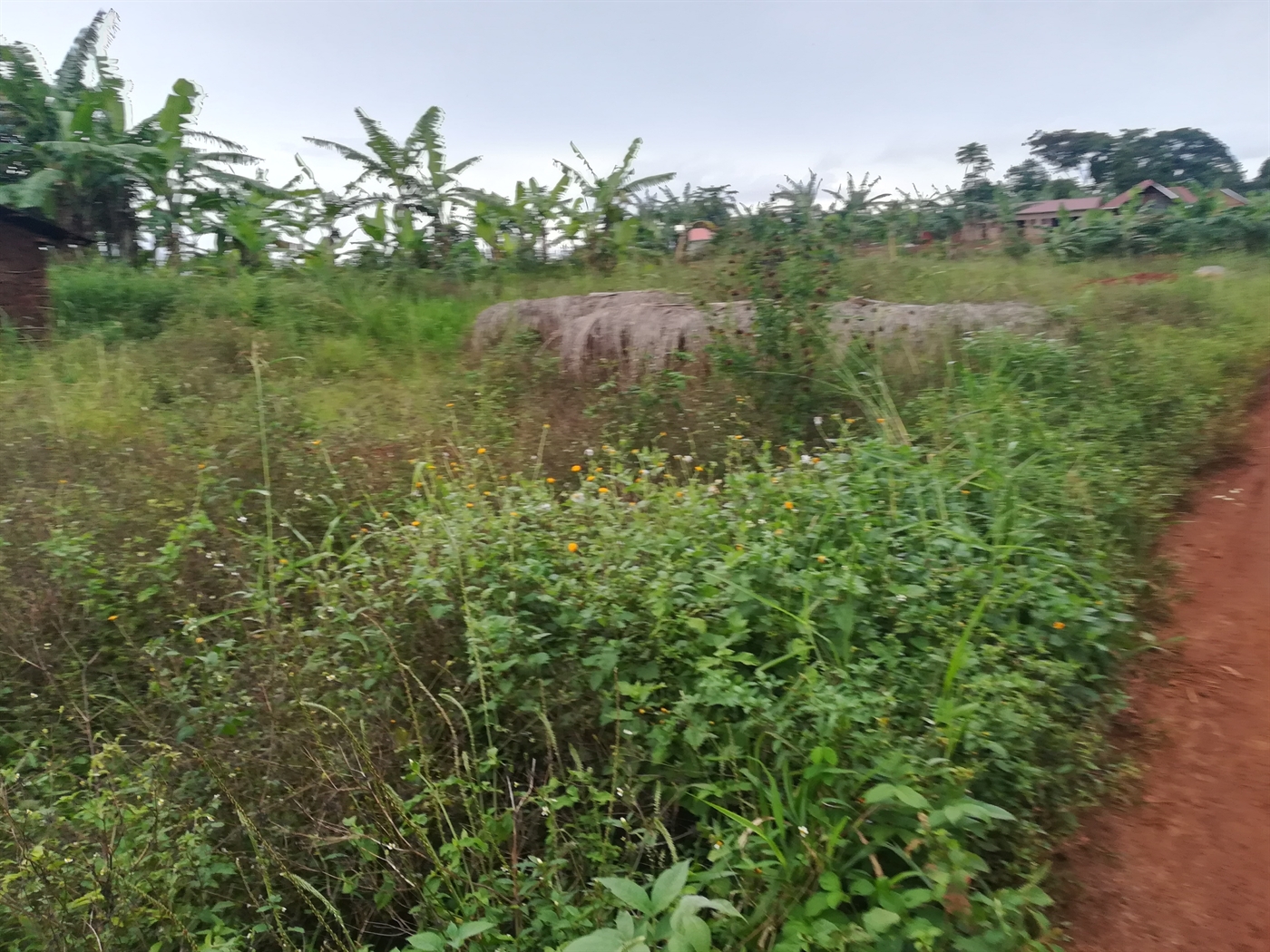 Agricultural Land for sale in Kisoga Mukono