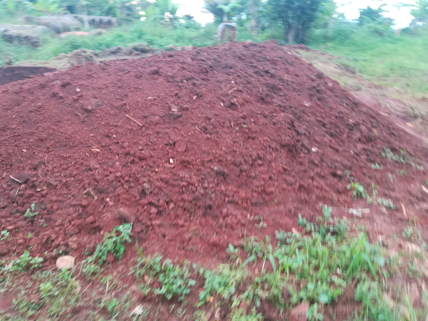 Agricultural Land for sale in Kisoga Mukono